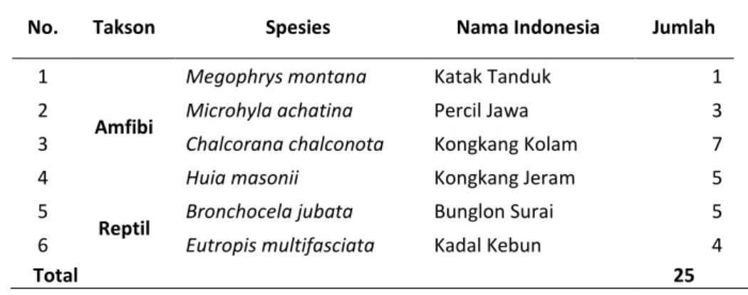 Tabel 13. Hasil Perhitungan Indeks Kehati di Gunung Puntang 