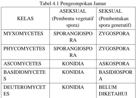 Tabel 4.1 Pengeompokan Jamur         KELAS  ASEKSUAL  (Pembentu vegetatif  spora)  SEKSUAL  (Pembentukan  spora generatif)  MYXOMYCETES  SPORANGIOSPO RA  ZYGOSPORA  PHYCOMYCETES  SPORANGIOSPO RA  ZYGOSPORA 
