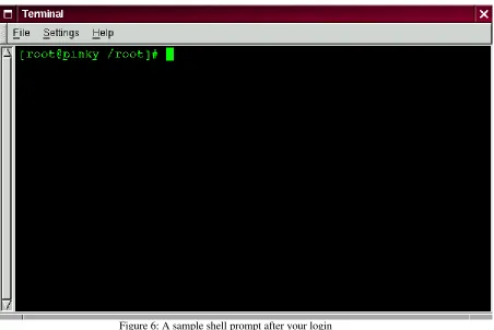 Figure 6: A sample shell prompt after your login