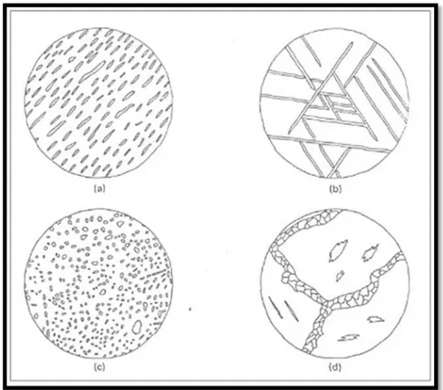 Gambar 1.11. Beberapa kenampakan khas tekstur exolution pada mineral sulfide dan okksida (Evans, 1993).