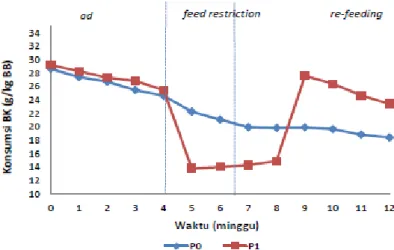 Gambar 1 menunjukkan bahwa peningkatan  konsumsi BK P1 pada fase refeeding jauh melebihi  konsumsi BK pada P0