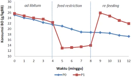 Gambar 2.  Konsumsi bahan organik (BO) pada kambing Bligon