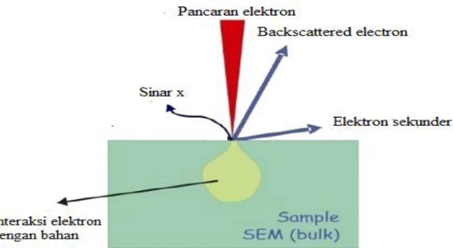 Gambar 2.6. Skema elektron menabrak permukaan material (Sujatno dkk, 2015)  Pada Gambar 2.6 terlihat, ketika elektron menabrak permukaan material, terjadi  interaksi  antara  elektron  dengan  atom-atom  di  permukaan  dan  di  bawah  permukaan  material