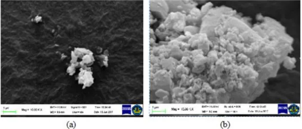 Gambar 2.7. Hasil SEM penelitian sebelumnya (a) Polimer sebelum dicuci. (b) Polimer  yang telah dicuci (MIP) (Nurhamidah, 2017) 