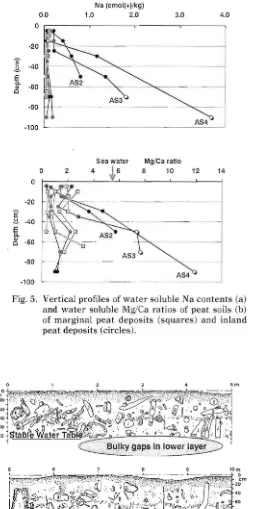 Fig. 5.  Vertical profiles of water soluble Na contents (a) 
