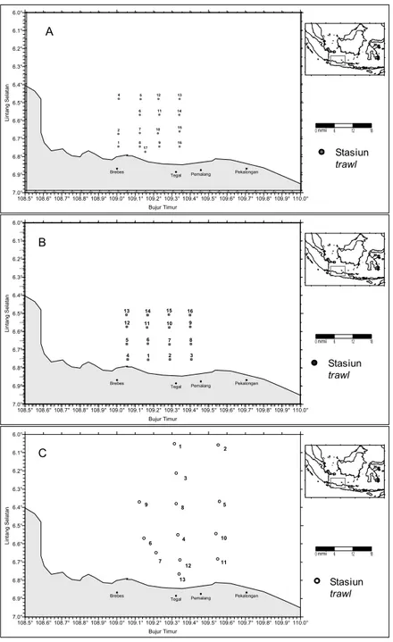 Gambar 1. Penyebaran stasiun trawl di perairan Tegal dan sekitarnya (A = bulan April 2009; B = bulan Juli 2009; C = bulan Nopember 2009).