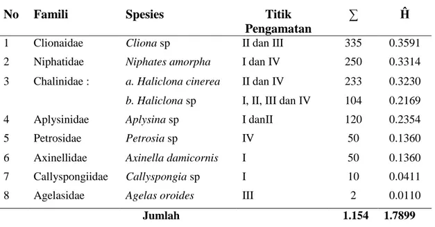 Tabel di atas menunjukkan bahwa spesies Porifera yang paling mendominasi di lokasi  pengamatan  adalah  Cliona  sp  yang  ditemukan  di  titik  II  dan  III  dengan  jumlah  335  individu,  sedangkan  spesies  Porifera  yang  paling  sedikit  ditemukan  ad