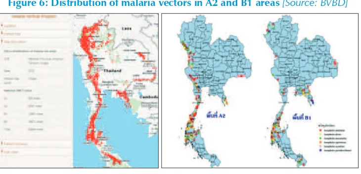 Figure 6: Distribution of malaria vectors in A2 and B1 areas [Source: BVBD]
