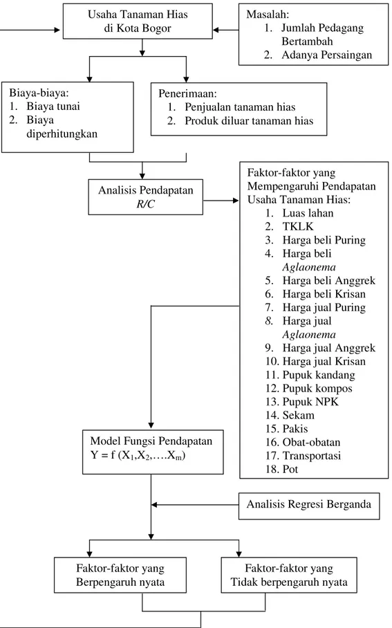 Gambar 2. Alur Kerangka Pemikiran Operasional Penelitian.