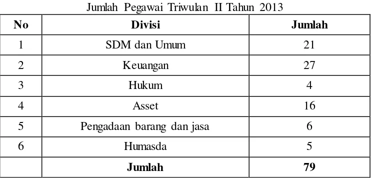 Tabel 3.3 Jumlah Pegawai Triwulan II Tahun 2013 