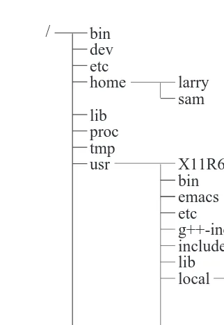 Figure 3.1: A typical (abridged) Linux directory tree.