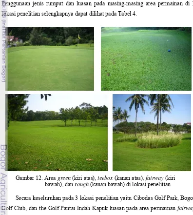 Gambar 12. Area green (kiri atas), teebox (kanan atas), fairway (kiri  