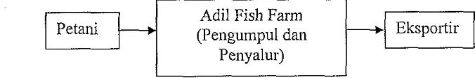 Gambar 5. Sumllber : Saluran Pernasaran Usaha Ikan I-Iias Adil Fish Farm Data Primer Adil Fish Farm, Tahun 2004 