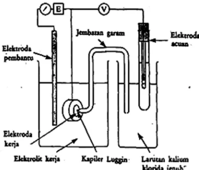 Gambar 2.6. Komponen Sel Elektrokimia Tiga Elektroda 