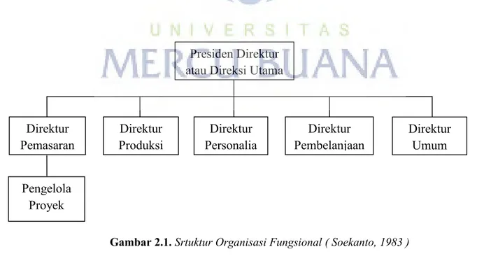 Gambar 2.1. Srtuktur Organisasi Fungsional ( Soekanto, 1983 ) 