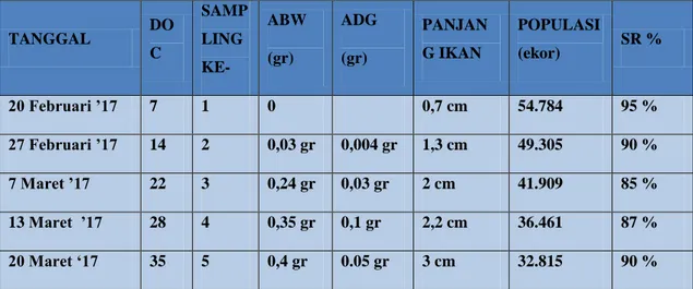 Tabel 6. Analisa Panjang dan Berat Ikan lele 