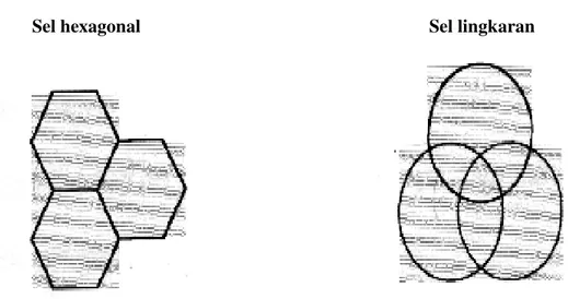 Gambar 2. 1 Struktur Sel Hexagonal dan Lingkaran 