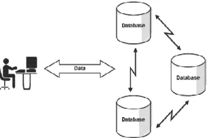 Gambar 1. Distribusi Basis Data (Oracles8i administrator’s guide, 1999)  