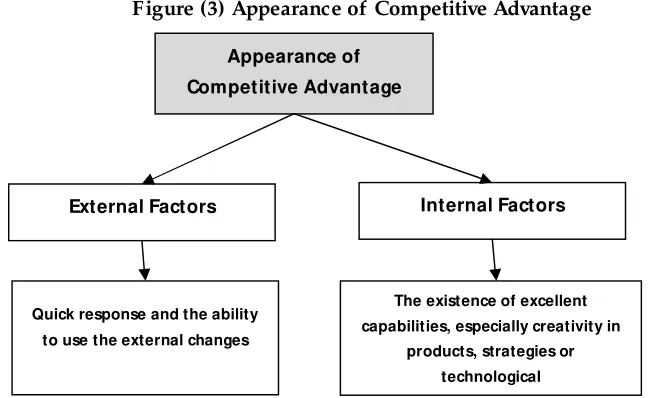 Figure (3) Appearance of Competitive Advantage 
