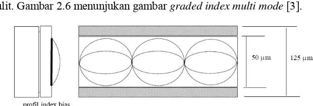 Gambar  2.6. Graded Index Multi Mode 