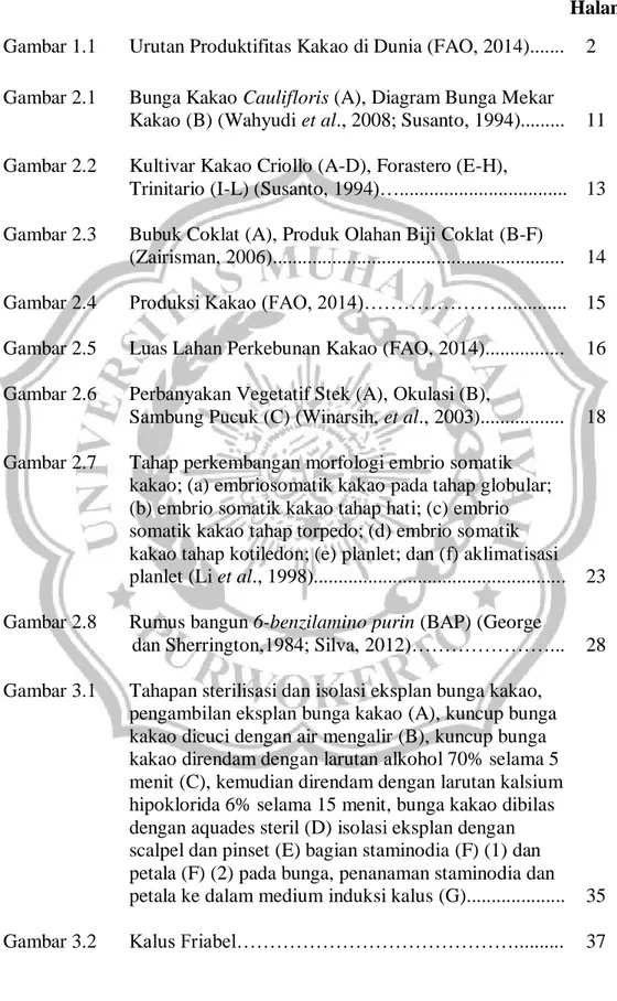 Gambar 2.1  Bunga Kakao Caulifloris (A), Diagram Bunga Mekar  Kakao (B) (Wahyudi et al., 2008; Susanto, 1994)........