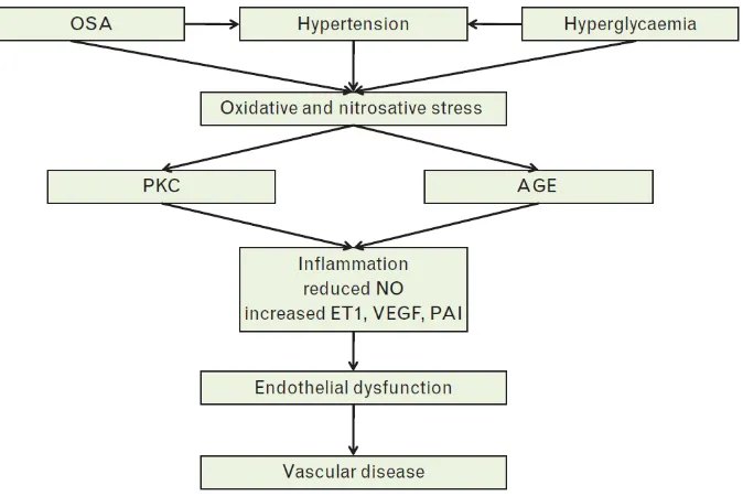 Gambar 3. Potensial mekanisme OSA berhubungan dengan penyakit vaskuler pada pasien diabetes