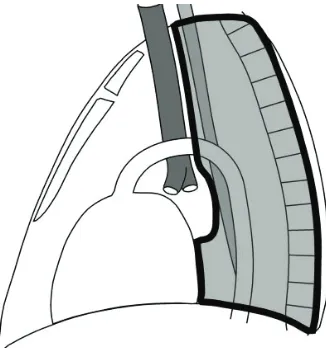 Gambar 4. �atas mediastin�m anterior terlihat dari lateral.2 