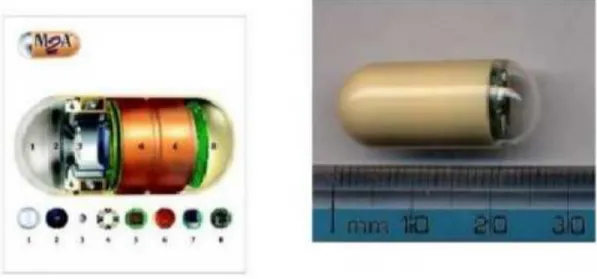 Gambar 12 Endoskop Kapsul (capsul endoscope)