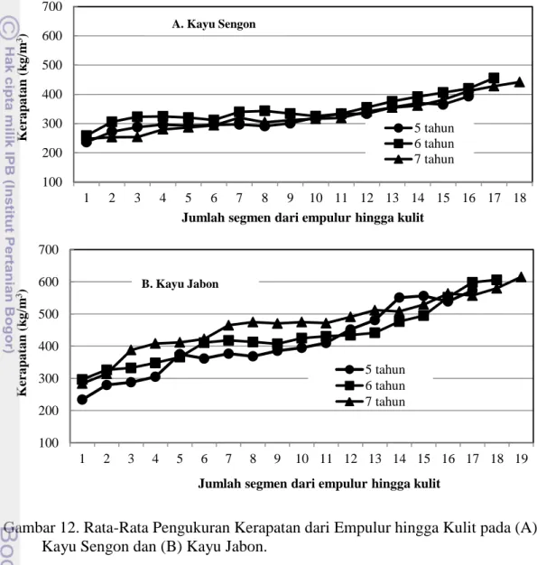 Gambar 12. Rata-Rata Pengukuran Kerapatan dari Empulur hingga Kulit pada (A)  Kayu Sengon dan (B) Kayu Jabon