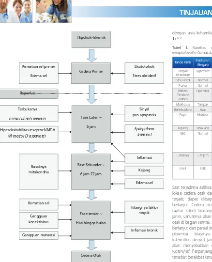 Tabel 1. encephalopathyKlasifikasi derajat hypoxic-ischemic  (Sarnat dan Sarnat).12