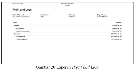 Gambar 20 Laporan Profit and Loss 