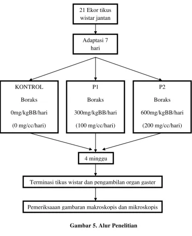 Gambar 5. Alur Penelitian 