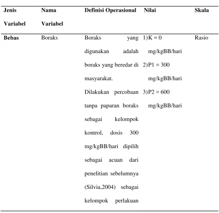 Tabel 2. Definisi Operasional Variabel 