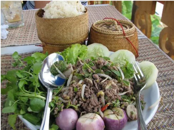 Gambar 1.1 susunan menu umum Laos 