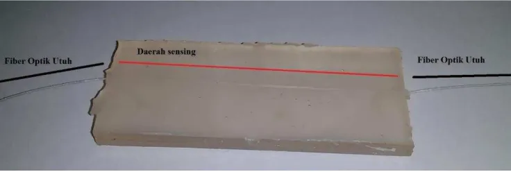 Gambar 1: Pad sensor yang dibuat dan digunakan dalam penelitian ini. 