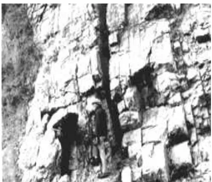 Gambar 9-7. Singkapan batugamping berlapis yang kaya akan cangkal (shell), berumur Ordovisium, tersingkap di Lexington, Kentucky