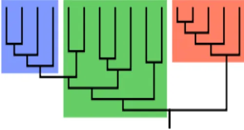 Gambar 9-1    Cladogram (pohon keluarga/family tree) dari suatu kelompok organisme. Kotak warna merah dan biru mewakili “clade” (Cabangnya lengkap)