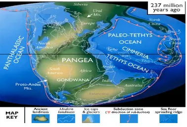 Gambar 11-9  Kondisi Paleogeografi Zaman Trias 