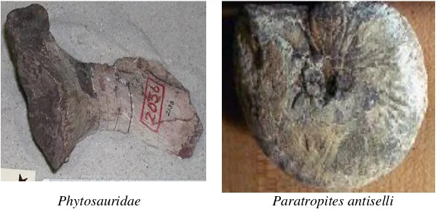 Gambar 11-10  Kondisi Paleogeografi Zaman Jura 