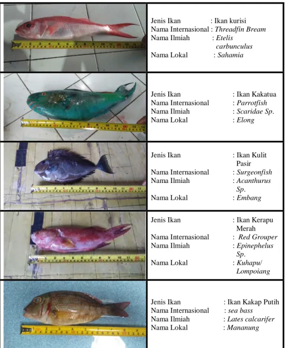 Tabel 1.  Hasil Tangkapan Ikan Demersal 