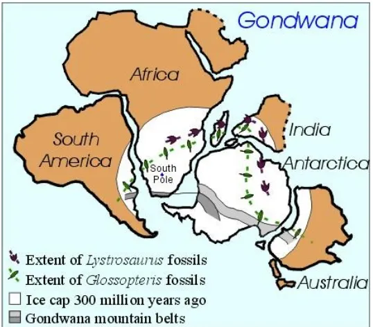 Gambar 2-10  Sebaran lapisan es di belahan bumi bagian selatan pada 250 – 300 juta tahun yang lalu serta sebaran fosil Lystrosaurus dijumpai di benua-benua Afrika, India, dan Antartika; fosil Glossopteris dijumpai di benua benua Amerika Selatan, Afrika, In