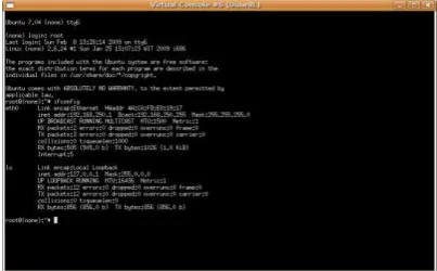 Gambar 4. Xterm kernel UML 7.04 Festy Fawn 