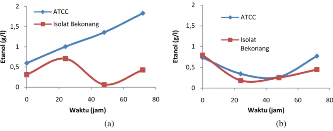 Gambar 2. Etanol terproduksi dari: (a) Hidrolisat I; (b) Hidrolisat II 