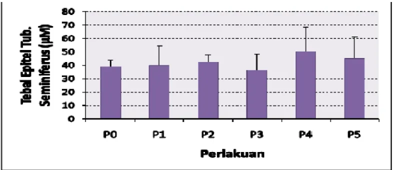 Gambar 8. Grafik rata-rata Tebal Epitel Tubulus Seminiferus Testis Mencit(µm).  Keterangan: P0 (0,5 ml aquabidest); P1 (ekstrak jahe 0,7 mg/gBB); P2 (ekstrak jahe 1,4 mg/gBB);  P3 (Pb asetat 0,01 mg/gBB); P4 (ekstrak jahe, 0,7 mg/gBB + Pb asetat 0,01 mg/gB