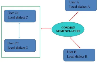 Figure 2. Common nomenclature as a bridge between local dialects (CEN/TC 251 “Health informatics”)