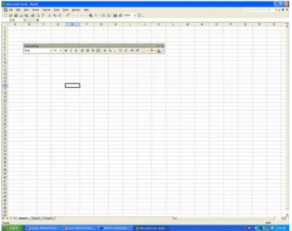 Gambar 3.2. Menu Format pada Ms. Excel XP 