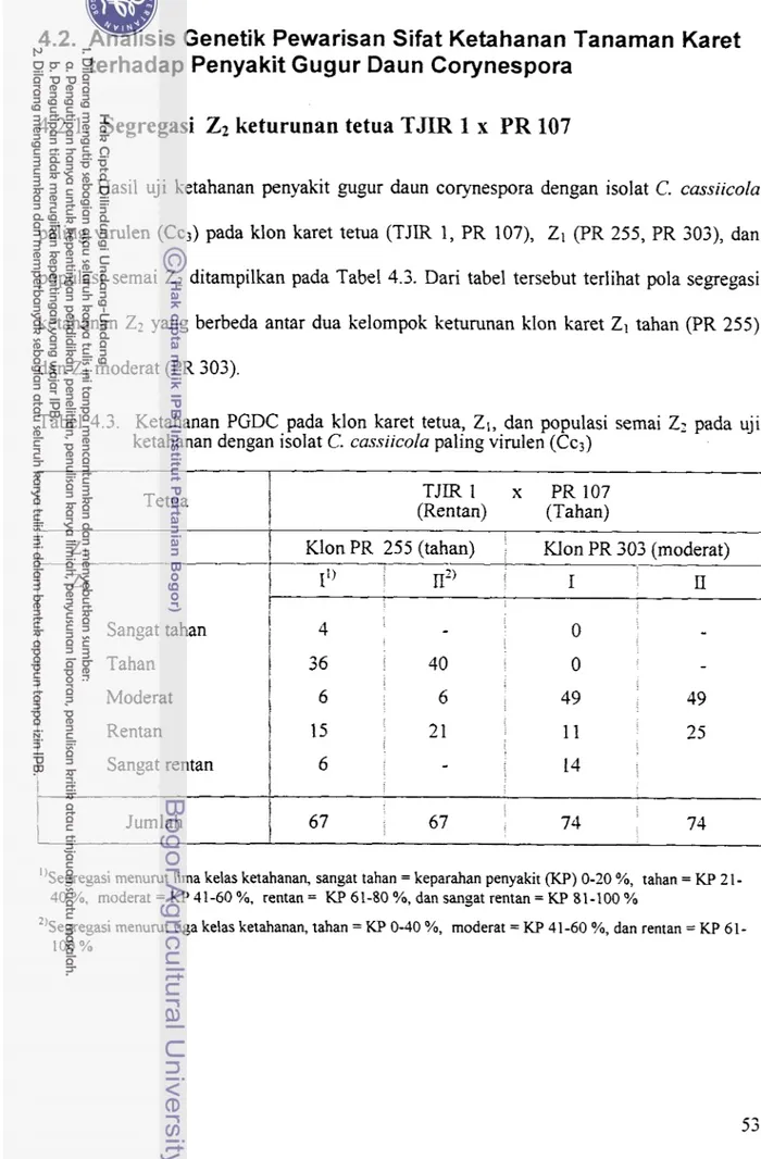 Tabel  4.3.  Ketahanan  PGDC  pada  klon  karet  tetua,  Z1, dan populasi  semai ZZ pada  uji  ketahanan dengan isolat C