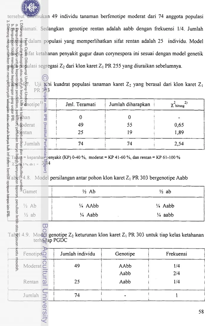Tabel  4.7.  Uji  Khi  kuadrat  populasi  tanaman  karet  Zz  yang  berasal  dari  klon  karet  Z1  PR  303 