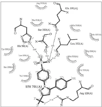 Gambar  3.  Interaksi  native  ligand  (SC558)  dengan  residu  siklooksigenase-2  (PDB  ID=6COX)  (sumber  :  Kurumbail, R.G, et all