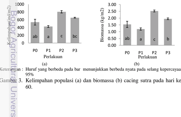 Gambar  1  dan  Gambar  2  menunjukkan  pola  pertumbuhan  biomassa  berkorelasi positif dengan kelimpahannya
